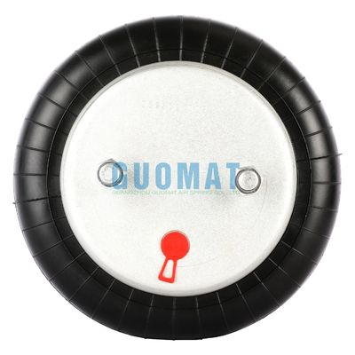 Goodyear 2B9-250 Printemps de suspension aérienne pour Watson Chalin en tant que 0041