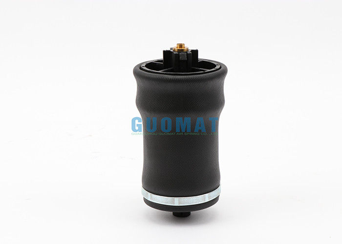 Amortisseur d'air de la cabine W02-358-7206 pour l'OEM de Freightliner 18-29919-000